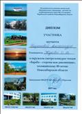 Диплом участника в окружном смотре конкурсе чтецов " Бараба-сторона моя диковинная" Диплом участника в окружном смотре конкурсе чтецов " Бараба-сторона моя диковинная"
